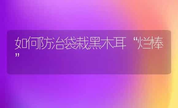 如何防治袋栽黑木耳“烂棒” | 植物科普