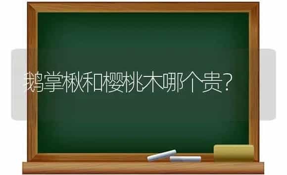 鹅掌楸和樱桃木哪个贵? | 植物问答