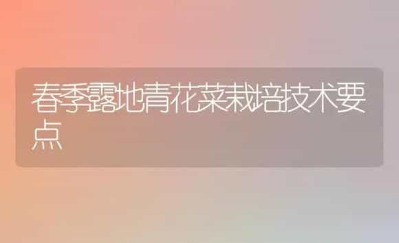春季露地青花菜栽培技术要点 | 植物科普