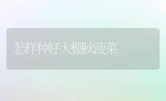 脐橙疏春梢保果增产 | 植物科普