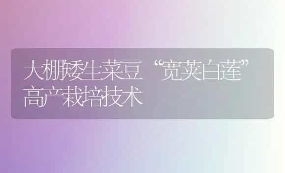 大棚矮生菜豆“宽荚白莲”高产栽培技术 | 植物科普