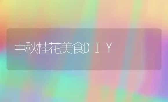 中秋桂花美食DIY | 植物科普