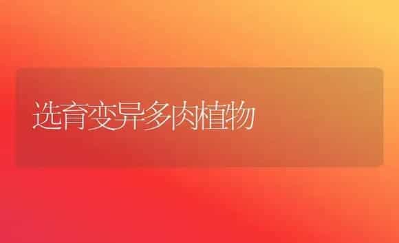 选育变异多肉植物（图） | 植物科普