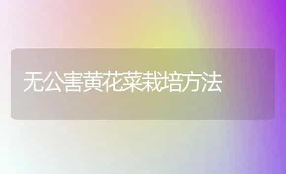 无公害黄花菜栽培方法 | 植物科普