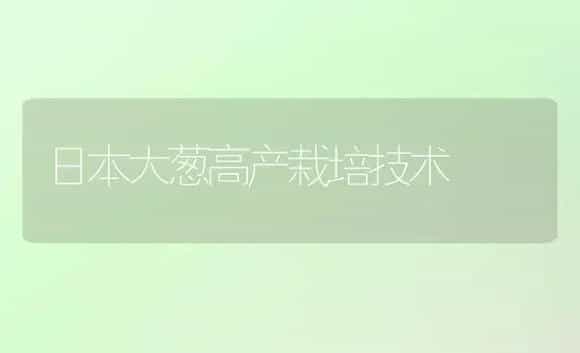 日本大葱高产栽培技术 | 植物科普