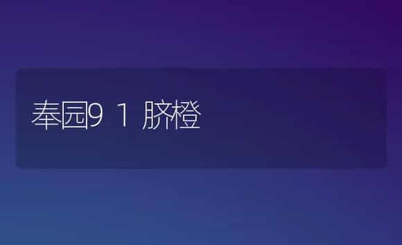 奉园91脐橙 | 植物科普