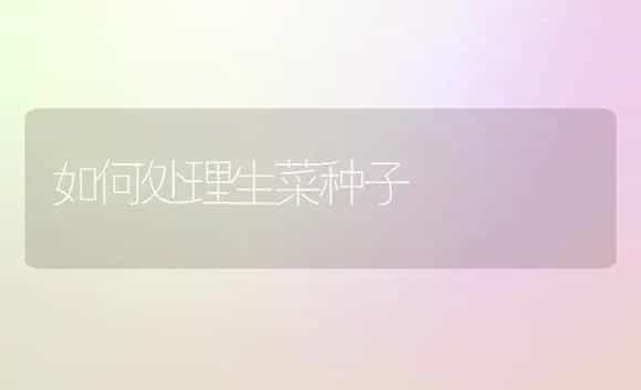 如何处理生菜种子 | 植物科普