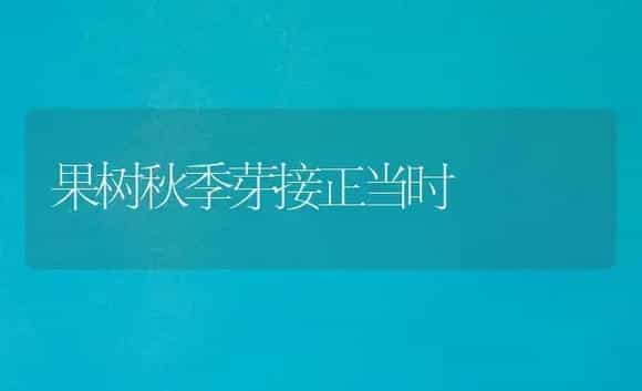 果树秋季芽接正当时 | 植物科普