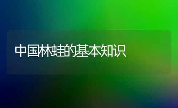 中国林蛙的基本知识 | 植物科普