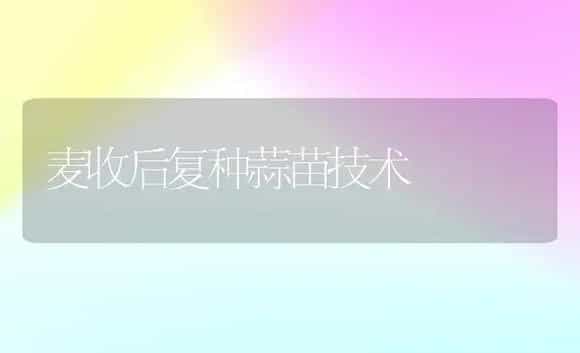 优质辣椒品种-徐研1号 | 植物科普