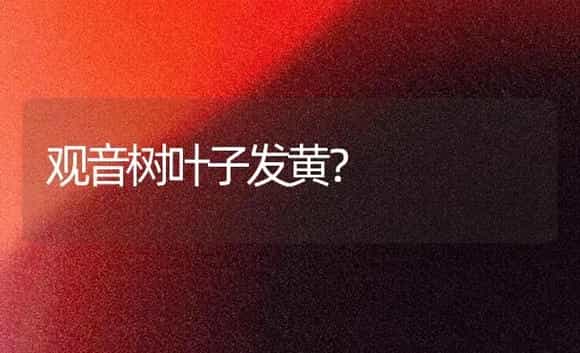 观音树叶子发黄? | 植物问答
