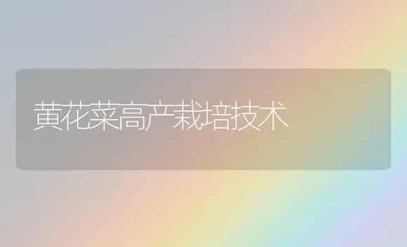 黄花菜高产栽培技术 | 植物科普