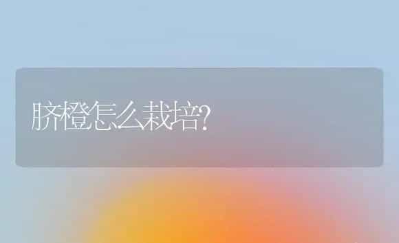 脐橙怎么栽培？ | 植物科普