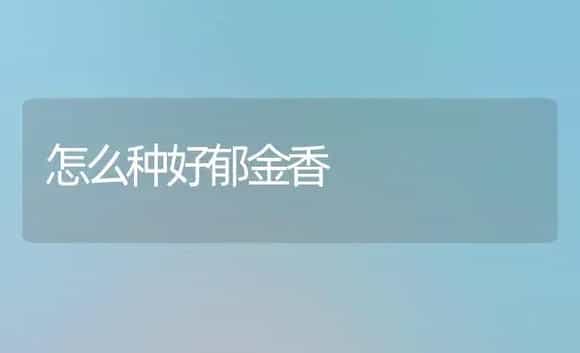 怎么种好郁金香 | 植物科普