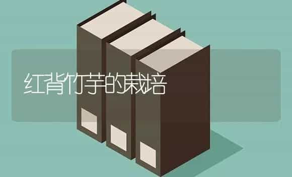 刺玫瑰繁殖的方法 | 植物科普