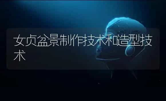 女贞盆景制作技术和造型技术 | 植物科普