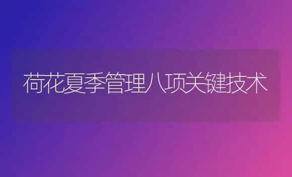 荷花夏季管理八项关键技术 | 植物科普