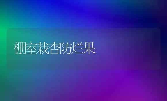 花菜怎样栽培? | 植物科普