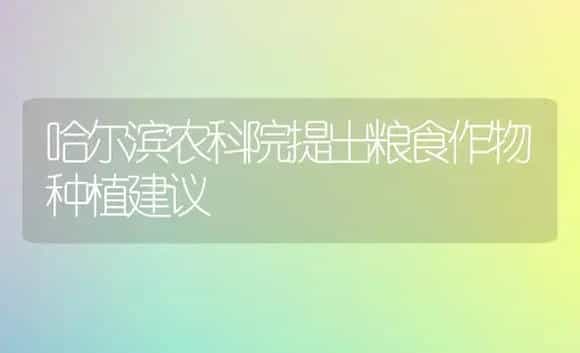 哈尔滨农科院提出粮食作物种植建议 | 植物科普
