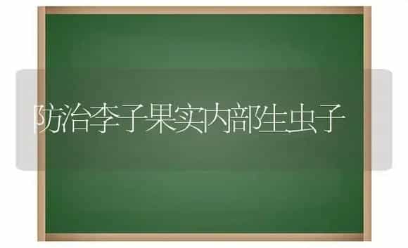 防治李子果实内部生虫子 | 植物科普