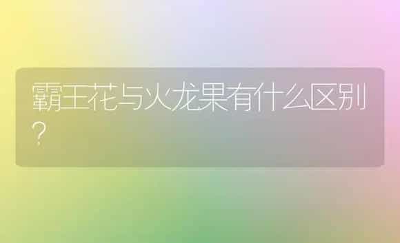 霸王花与火龙果有什么区别？ | 植物科普