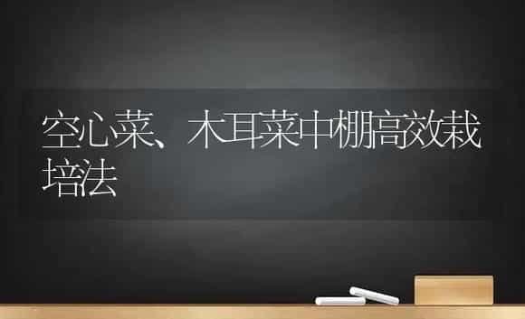 空心菜、木耳菜中棚高效栽培法 | 植物科普