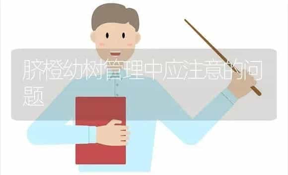 脐橙幼树管理中应注意的问题 | 植物科普