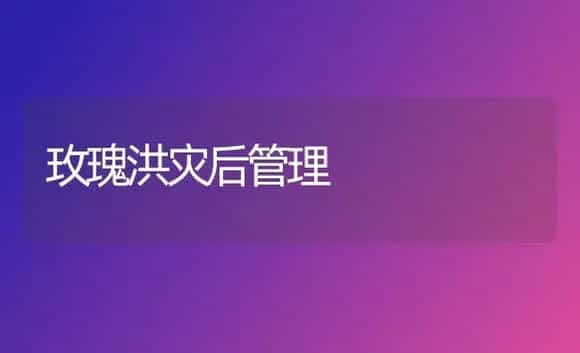 玫瑰洪灾后管理 | 植物科普