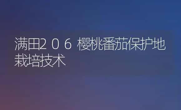 满田206樱桃番茄保护地栽培技术 | 植物科普