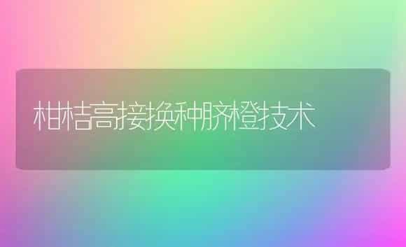 柑桔高接换种脐橙技术 | 植物科普