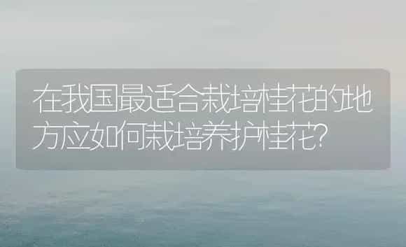 在我国最适合栽培桂花的地方应如何栽培养护桂花？ | 植物科普