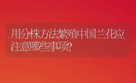 用分株方法繁殖中国兰花应注意哪些事项? | 植物科普