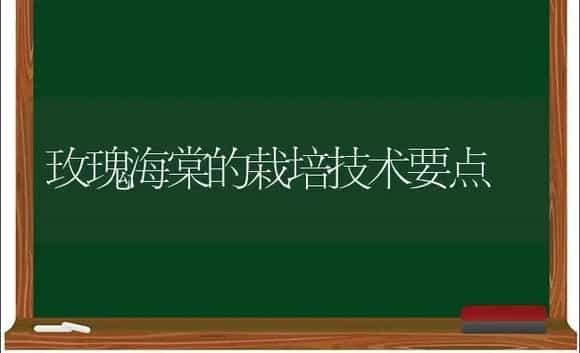 玫瑰海棠的栽培技术要点 | 植物科普
