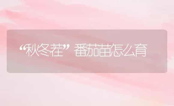 “秋冬茬”番茄苗怎么育 | 植物科普