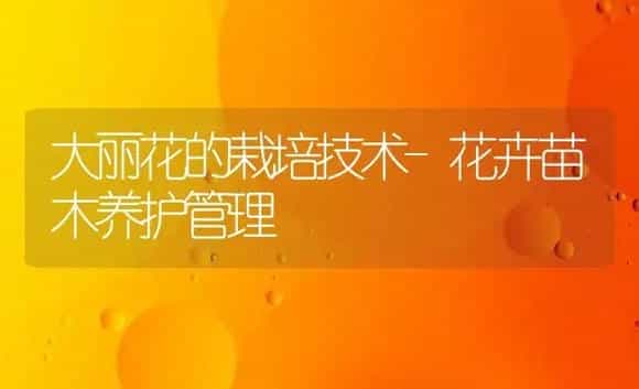 大丽花的栽培技术-花卉苗木养护管理 | 植物科普