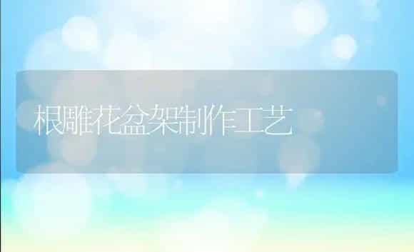 玫瑰的用途 | 植物科普