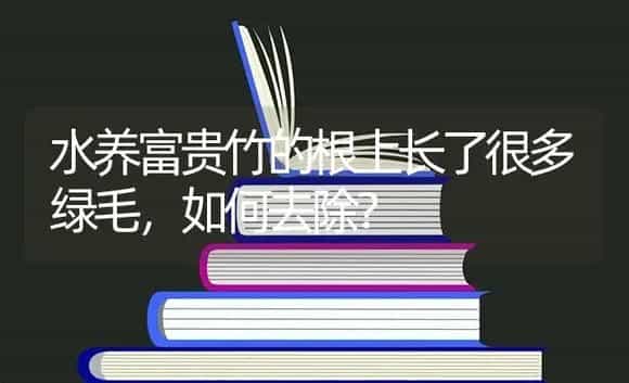 袖珍椰子成熟的特征？ | 植物问答