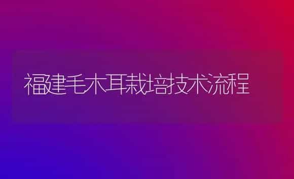 福建毛木耳栽培技术流程 | 植物科普