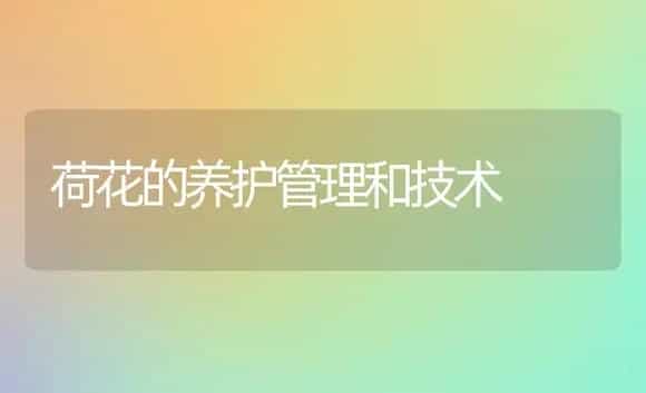 荷花的养护管理和技术 | 植物科普