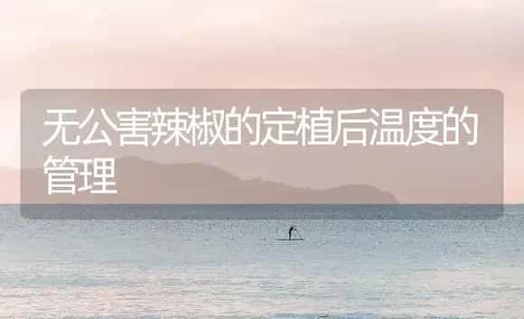 无公害辣椒的定植后温度的管理 | 植物百科