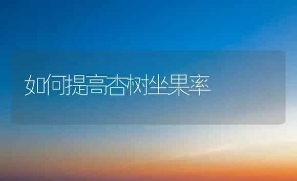 如何提高杏树坐果率 | 植物科普