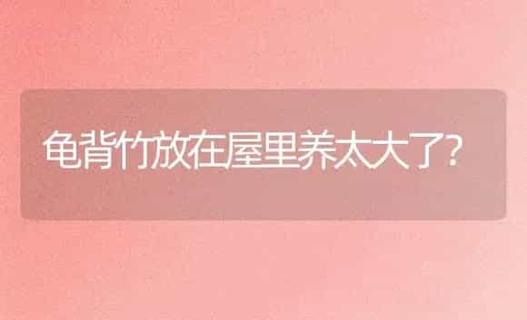 龟背竹放在屋里养太大了? | 植物问答