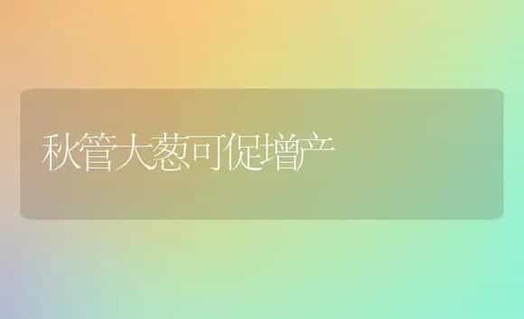 秋管大葱可促增产 | 植物科普