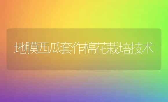 地膜西瓜套作棉花栽培技术 | 植物科普