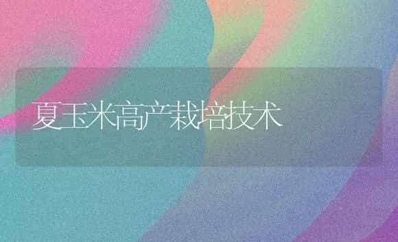 夏玉米高产栽培技术 | 植物百科