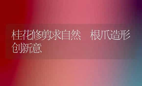桂花修剪求自然 根爪造形创新意 | 植物科普