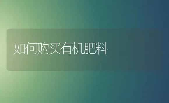 枇杷种植栽培技术 | 植物科普