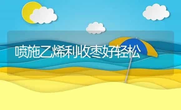 喷施乙烯利收枣好轻松 | 植物资料