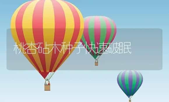 桃杏砧木种子快速破眠 | 植物资料