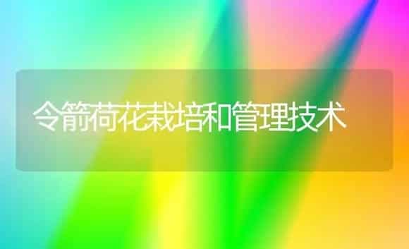 令箭荷花栽培和管理技术 | 植物科普